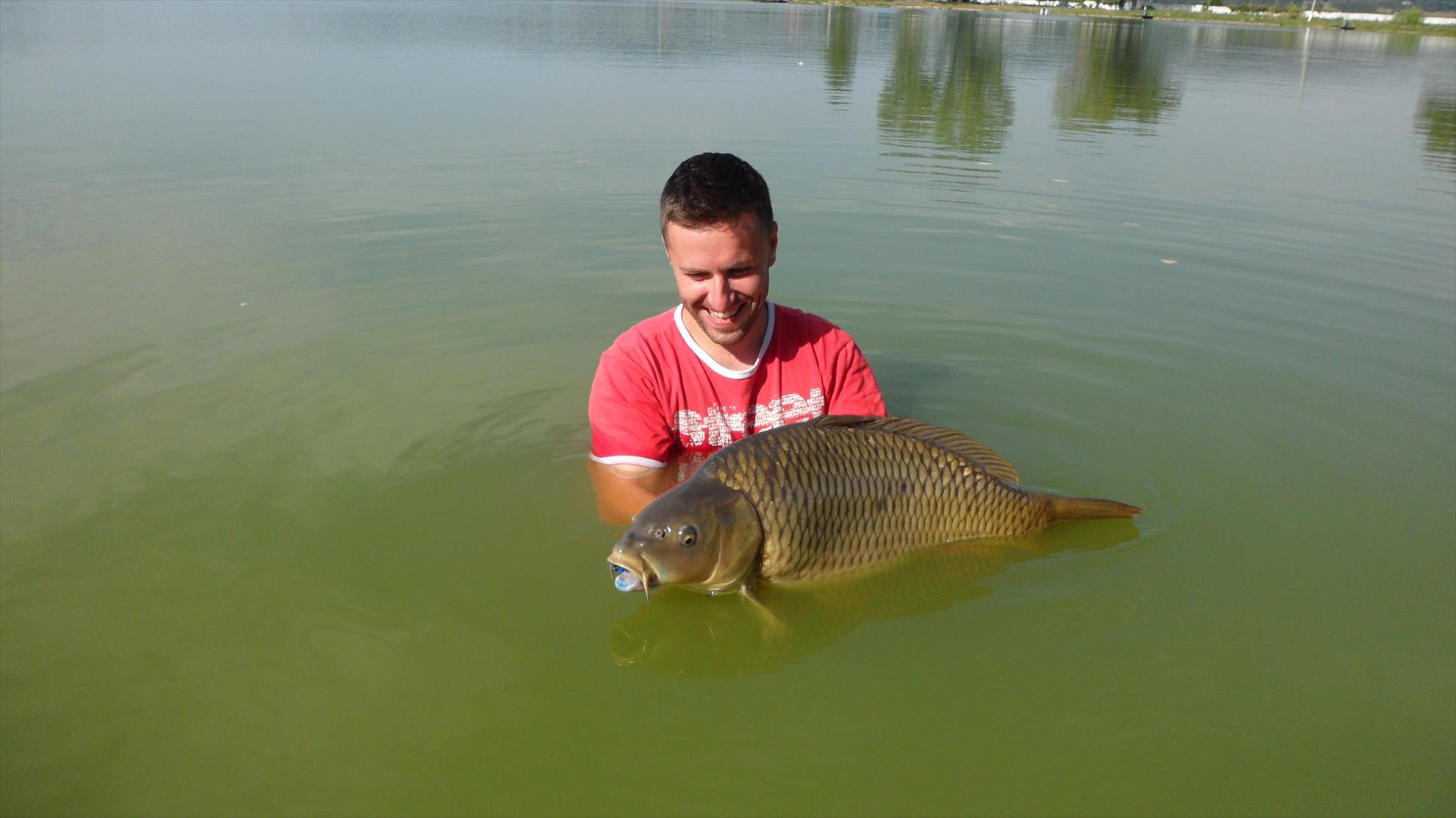 Pleasa1 18 - 20 august 2014 - sam0240.JPG